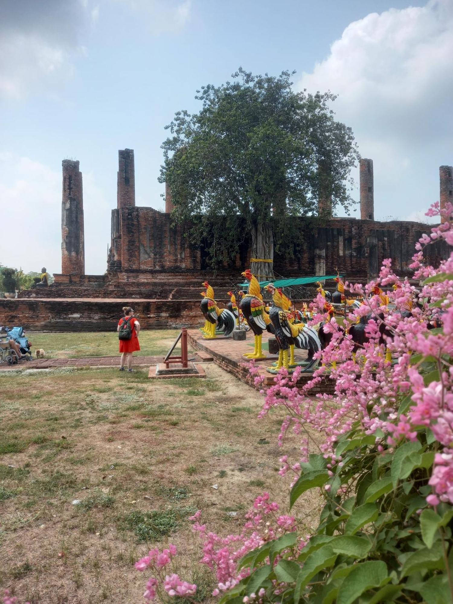 Plus Hostel Ayutthaya Buitenkant foto